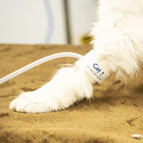 血压袖套 - CAT+  - Thames Medical