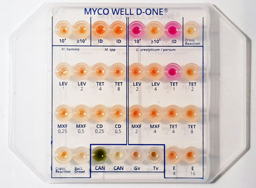 抗菌敏感性快速诊断套装 - MS01283 - CPM SAS - 用于鉴定分析 / 支原体 / 阴道加特纳菌