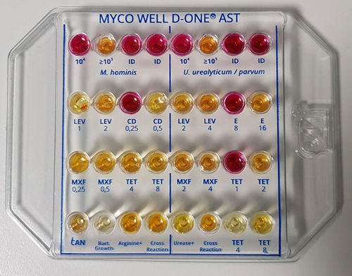 抗生素敏感性测试快速诊断套装 - MS01347 - CPM SAS - 用于鉴定分析 / 泌尿系统