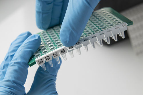 微孔板标签 - IDenti-PCR™ - GA International - 耐热 / 深度冻结