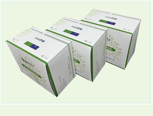 甲状腺疾病快速诊断套装 - 0022HC - Beijing O&D Biotech Co., Ltd. - 游离甲状腺素T4 / 血清 / 化学发光免疫分析
