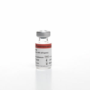 抗血清试剂 - OMNI - SSI Diagnostica - 抗体 / 多克隆抗体 / 用于研究