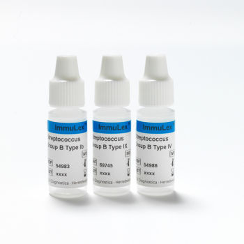 多克隆抗体试剂 - ImmuLex™ - SSI Diagnostica - 血清 / 抗血清 / 用于研究