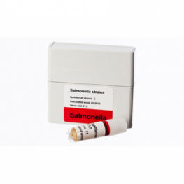 溶液试剂 - 82151  - SSI Diagnostica - 用于研究 / 细菌培养 / 沙门氏菌