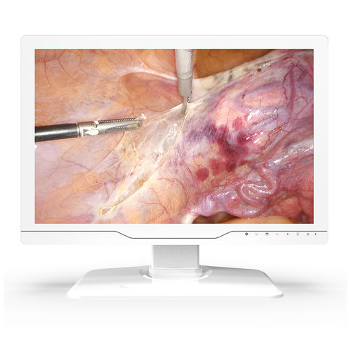 医用显示器 - 24A30 - KTC Medical Solutions - 手术室 / 内窥镜 / 1920x1200