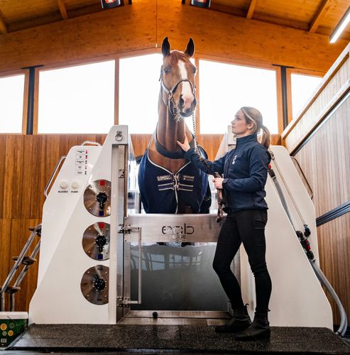 马科动物兽医水疗中心 - ECB Equine Spa