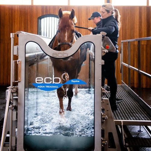 水下兽用跑步机 - ECB Equine Spa - 马 / 变速式 / 倾斜