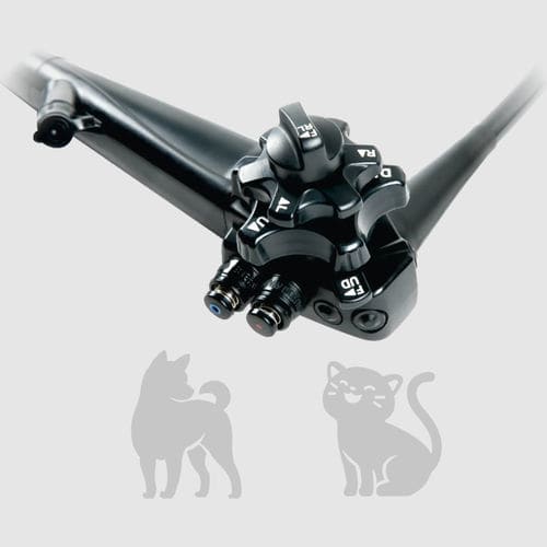 视频兽用胃镜 - OVV-S2+ US - MITRA Industries - 用于宠物 / 带操作通道