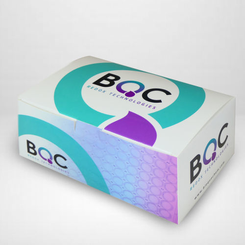 细胞生物学快速诊断套装 - KP06002 - Bioquochem - 细胞