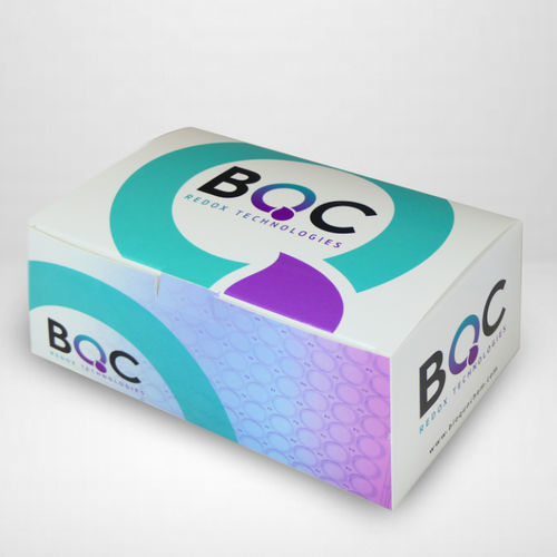 细胞生物学快速诊断套装 - KP06004  - Bioquochem - 细胞 / 荧光