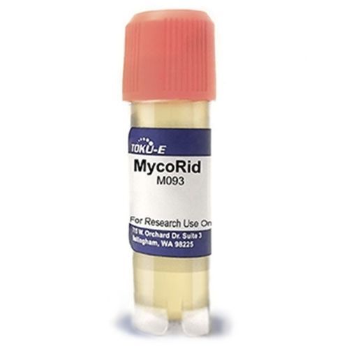 两性霉素B试剂 - MycoRid™ - TOKU-E Company - 抗真菌 / 溶液 / 用于研究