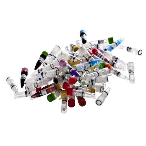 DNA聚合酶试剂 - Atlas Taq - BioAtlas - 用于研究 / PCR / 用于DNA排列