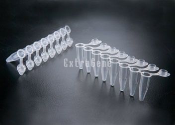 PCR试管 - P-02X8-CF - ExtraGene,Inc. - 锥底 / 聚丙烯