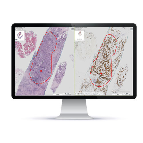自动细胞成像系统 - HiPath Pro™ - Applied Spectral Imaging - 实验室 / 组织