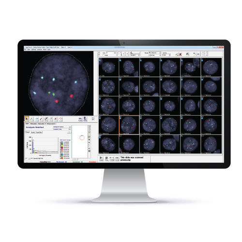 自动细胞成像系统 - HiFISH™ - Applied Spectral Imaging - 实验室 / FISH / 用于研究