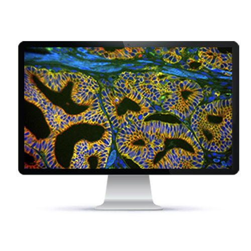 自动细胞成像系统 - Rainbow™ - Applied Spectral Imaging - 实验室 / 临床 / 荧光
