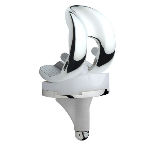三间隔膝关节假体 - ANATOMIC® - Amplitude Surgical - 滑动，后部稳定 / 固定轴承 / 骨水泥或非骨水泥