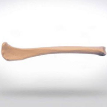 胫骨解剖模型 - 0812.00 - SYNBONE AG - 手术 / 兽用 / 教学