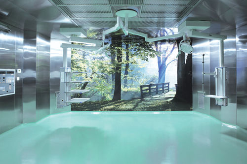 环氧地面 - AMENSCO MEDICAL TECHNOLOGIES - 乙烯基