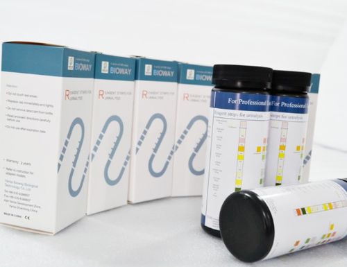 肾病试剂带 - URS-12F - Bioway Biological Technology Co.,Ltd - 尿路感染 / 传染病 / pH值