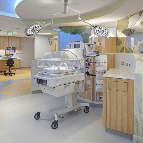 吊顶无影灯 - JD1800  - Nanchang Micare Medical Equipment - LED / 牙科 / 兽用