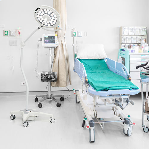 兽用检诊灯 - JD1800L - Nanchang Micare Medical Equipment - 牙科 / 急救 / 妇科