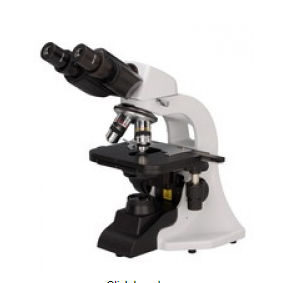 光学显微镜 - BM-1000 - U-Therm International (H.K.) Limited - 实验室 / 用于研究 / 生物