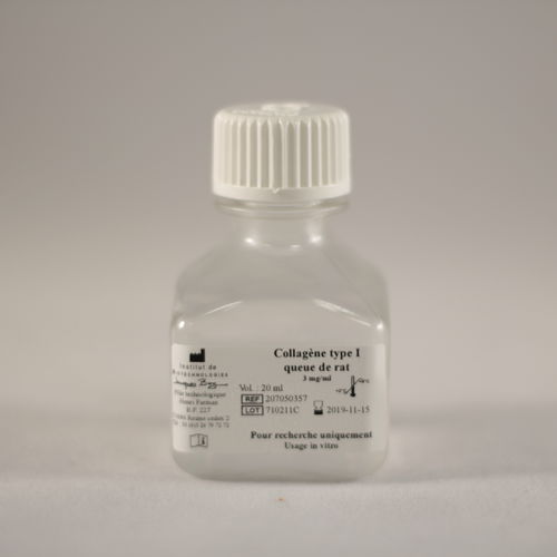 胶原蛋白试剂 - TYPE I QUEUE DE RAT - Institut de Biotechnologies Jacques Boy - 用于研究 / 用于细胞培养 / 细胞粘附