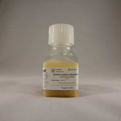 血清试剂 - AB - Institut de Biotechnologies Jacques Boy - 用于研究 / 用于细胞培养 / 血液样本
