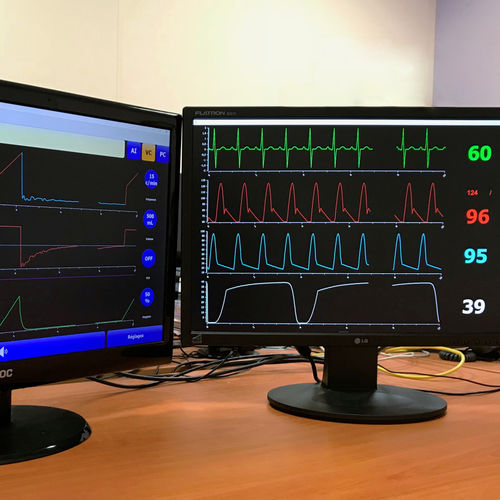 培训模拟器 - VentiSim - e-medys - 人工通气 / ECG / 呼吸