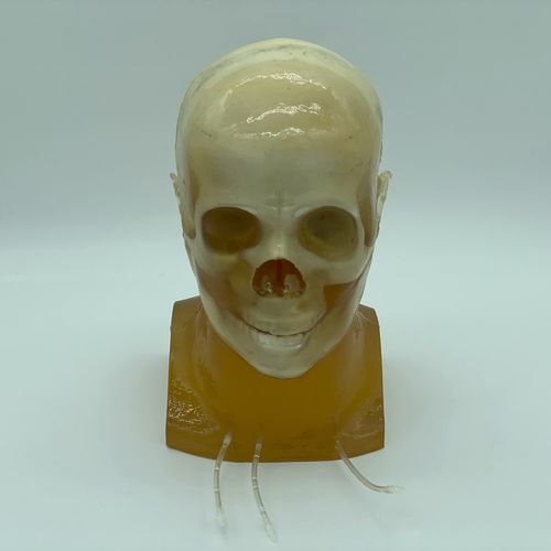 放射造影测试体模 - HD-A03 - True Phantom Solutions - CT扫描 / 用于MRI / 头部