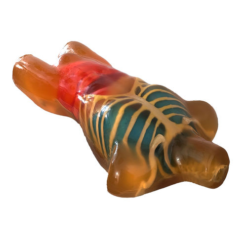 放射造影测试体模 - CT-A01 - True Phantom Solutions - CT扫描 / 用于MRI / 躯干