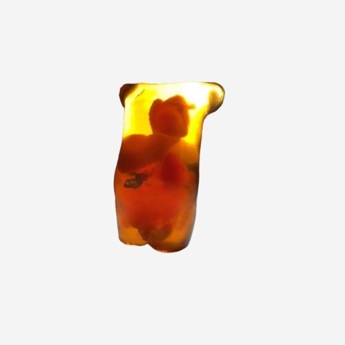 超声波成像测试体模 - AN-N01 - True Phantom Solutions - 用于放射造影 / CT扫描 / 躯干