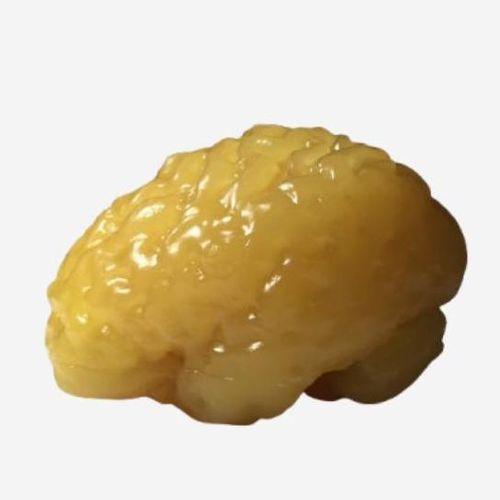 放射造影测试体模 - BN-A03 - True Phantom Solutions - CT扫描 / 用于MRI / 脑部