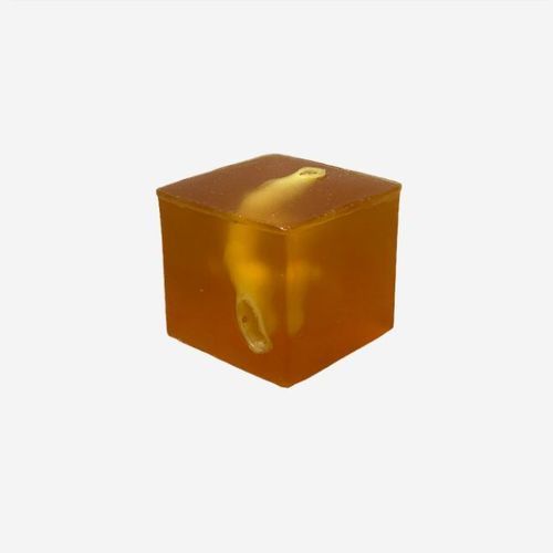 超声波成像测试体模 - US-G01 - True Phantom Solutions - 前列腺