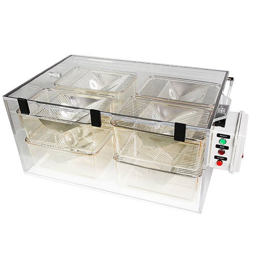 动物研究诱导麻醉箱 - SMARTBOX®TT-4000, SMARTBOX® TT-8200 - Euthanex - 用于安乐死