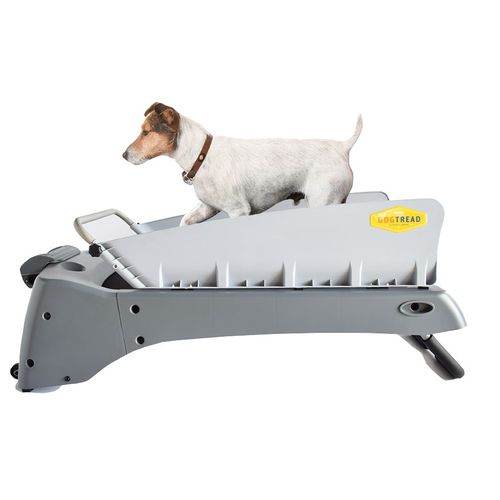 犬用兽用跑步机 - PZ1701 - DogTread