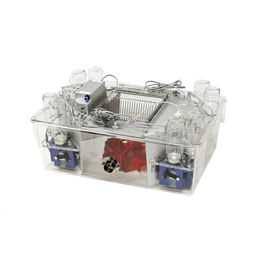 鼠类实验动物笼具 - IntelliCage - TSE Systems - 模块化