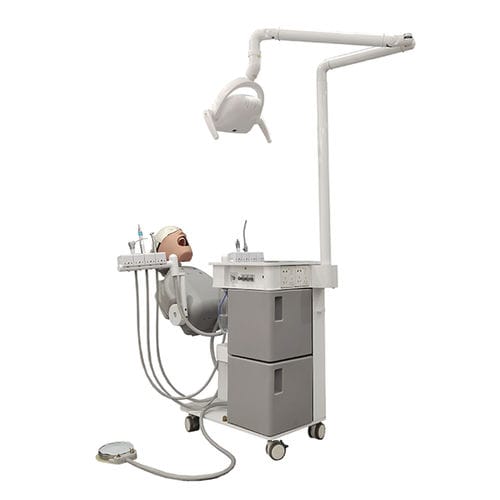 教学模拟器 - JG-A15-1 - FOSHAN JINGLE MEDICAL EQUIPMENT CO., LTD - 培训 / 牙科 / 头部