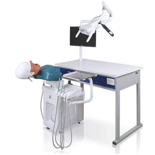 口腔护理医学教学模型 - JG-A3 - FOSHAN JINGLE MEDICAL EQUIPMENT CO., LTD - 牙科 / 牙科教学视频显示器 / 演示