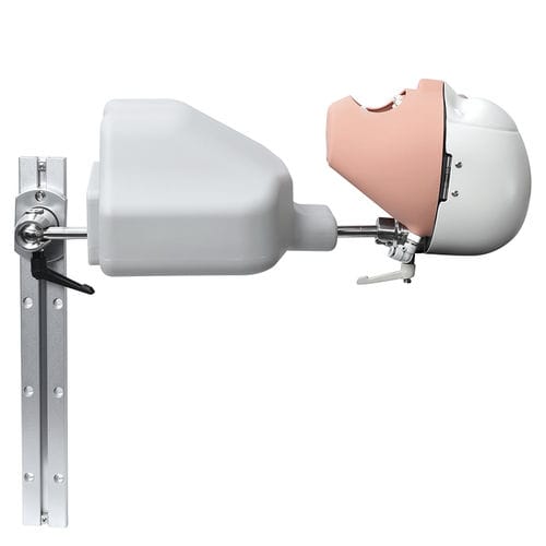 牙科医学教学模型 - JG-C9 - FOSHAN JINGLE MEDICAL EQUIPMENT CO., LTD - 教学 / 头部 / 假人模型套装