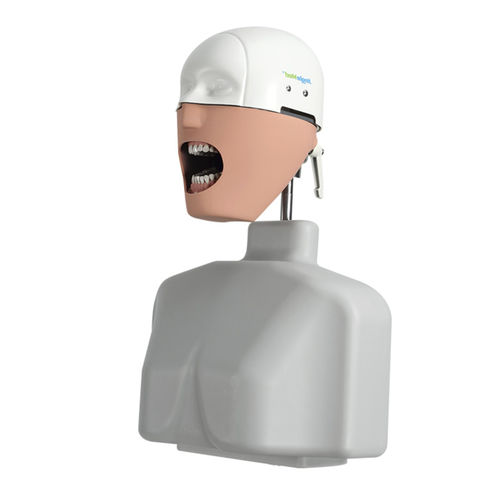 口腔护理医学教学模型 - JG-C2 - FOSHAN JINGLE MEDICAL EQUIPMENT CO., LTD - 用于牙髓 / 用于牙周 / 保存患牙