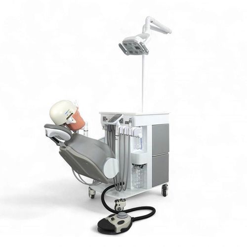 教学模拟器 - JG-A15 - FOSHAN JINGLE MEDICAL EQUIPMENT CO., LTD - 培训 / 用于牙髓 / 保存患牙