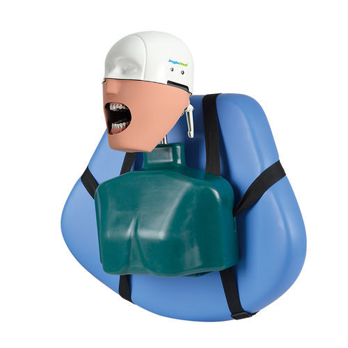 牙科医学教学模型 - JG-C4 - FOSHAN JINGLE MEDICAL EQUIPMENT CO., LTD - 头部