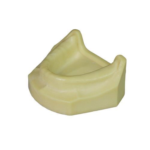 牙科解剖模型 - JG-Y8-F1-9 - FOSHAN JINGLE MEDICAL EQUIPMENT CO., LTD - 牙龈 / 手术 / 牙移植术