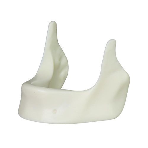 下颚解剖模型 - JG-Y12-Y - FOSHAN JINGLE MEDICAL EQUIPMENT CO., LTD - 口腔护理 / 手术 / 牙移植术