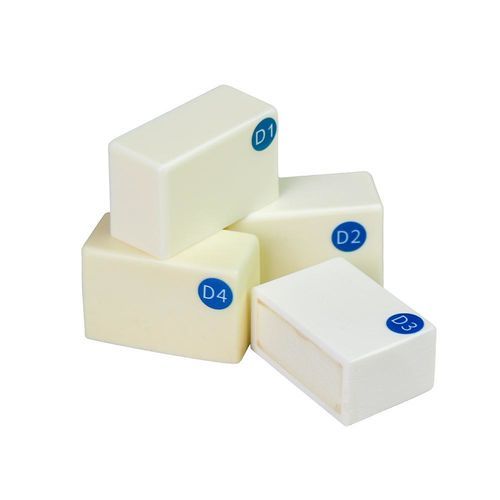 骨骼解剖模型 - JG-YS4-G - FOSHAN JINGLE MEDICAL EQUIPMENT CO., LTD - 牙移植术 / 培训 / 树脂