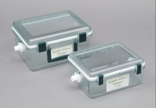 兽医麻醉诱导麻醉箱 - PS-0344 - Rothacher Medical - 用于动物研究 / 用于鼠类 / 用于大鼠