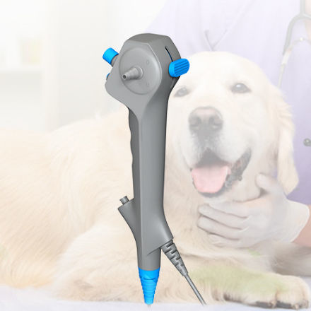 视频兽用胃镜 - ABD series - Lianying Medical Technology - 小动物 / 大型动物