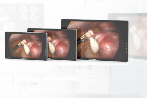 医用显示器 - Lianying Medical Technology - 内窥镜 / 全高清Full HD / 4K分辨率